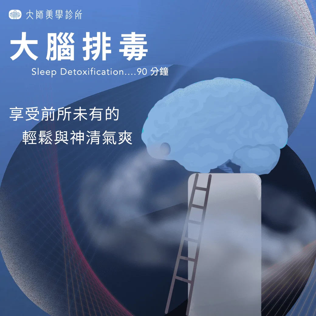 大腦與腦脊髓液循環的示意圖,標示腦脊髓液在腦組織周圍流動、協助帶走代謝廢物的路徑