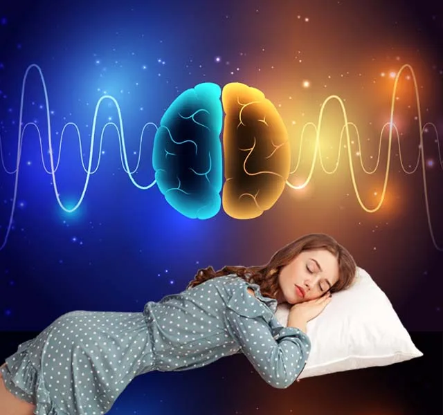 睡眠過程與大腦活動的衛教示意圖,說明睡眠並非單純休息而是大腦持續運作的過程