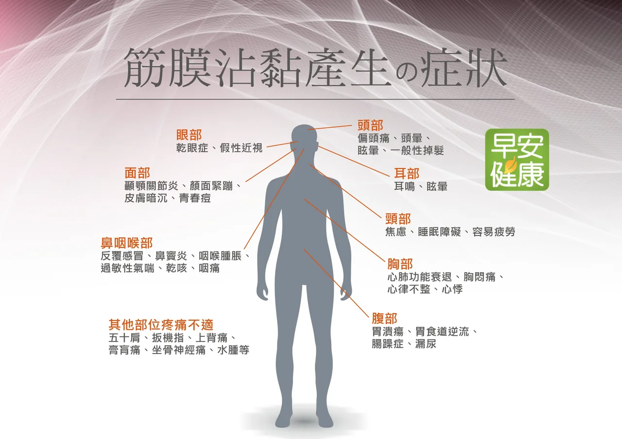 肌筋膜層次示意插圖,呈現筋膜在正常與張力升高狀態下的差異,用於肩頸痠痛衛教說明
