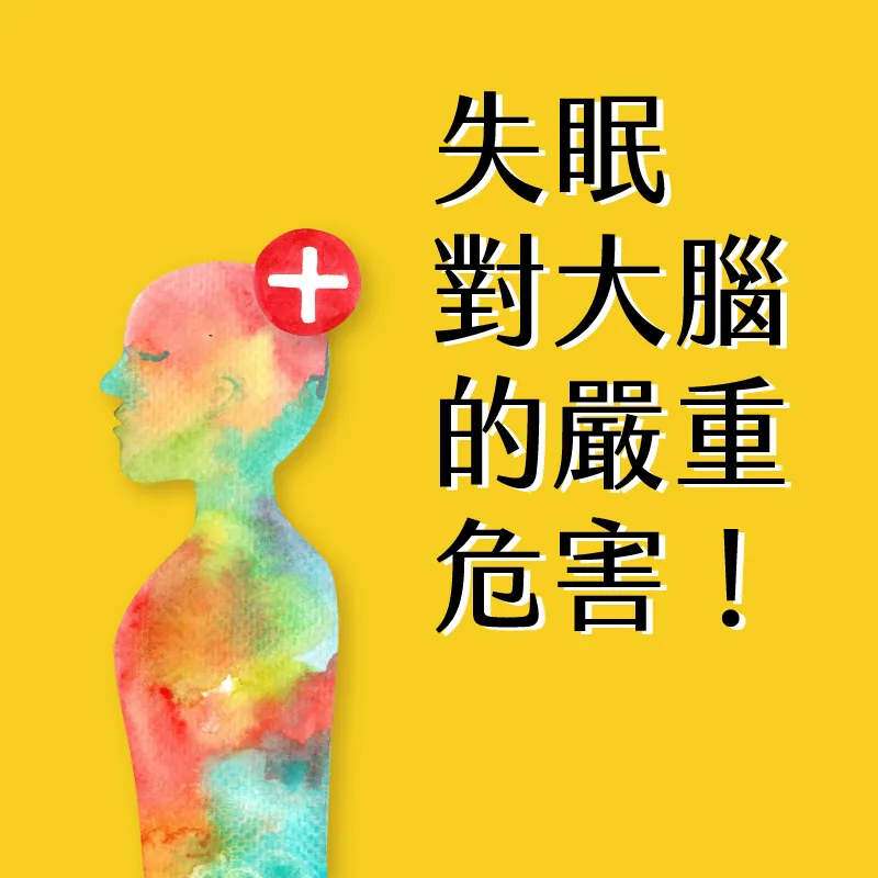 示意插圖:呈現睡眠與大腦的衛教概念,描繪夜間睡眠與腦部運作的關聯。